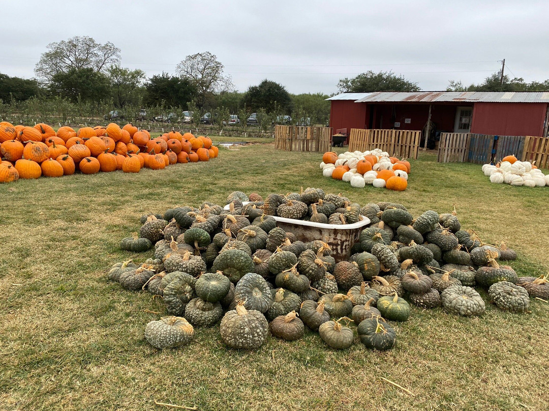 Sweet Berry Farm-Marble Falls必去景点