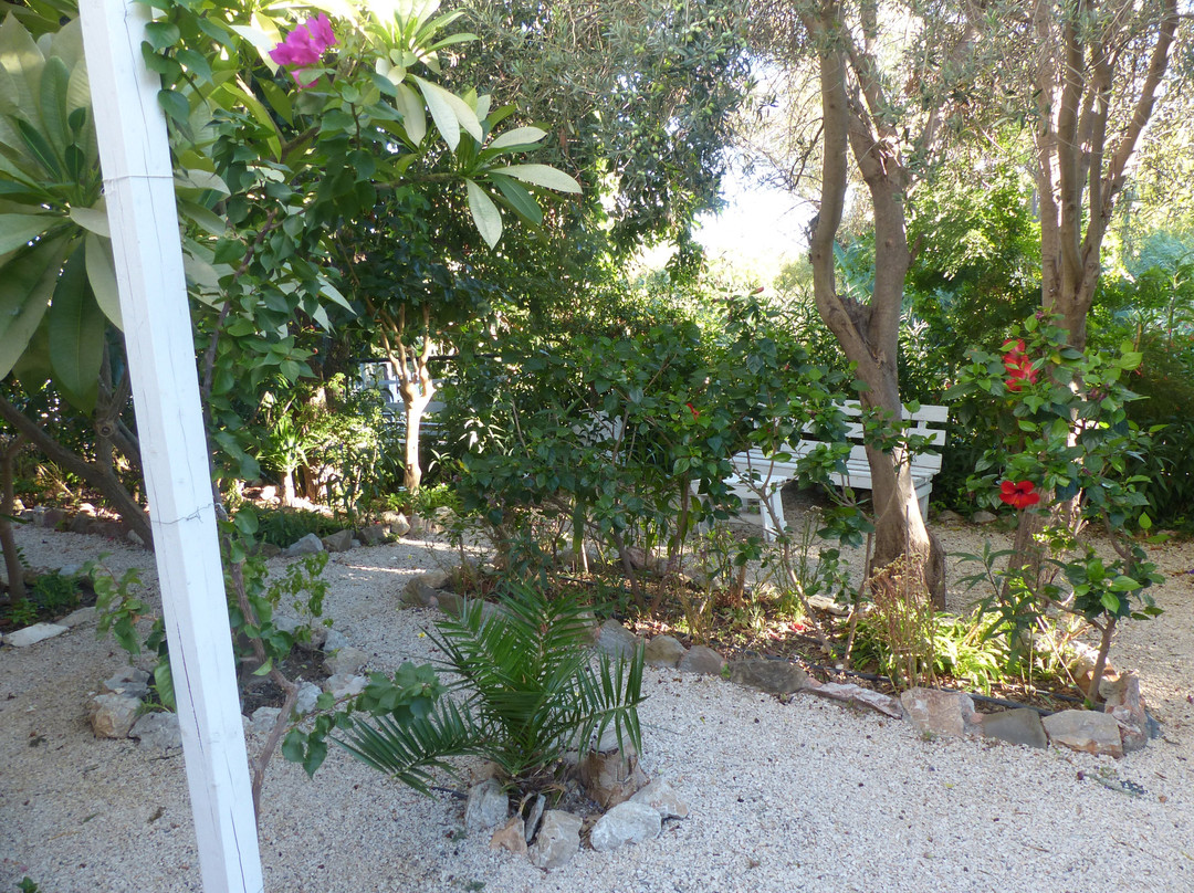 Blugreen Stegna主图