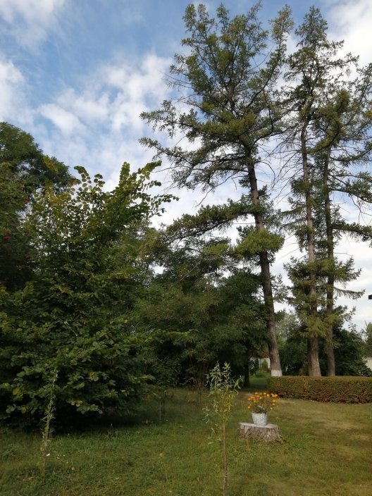 City Park-Yelets必去景点