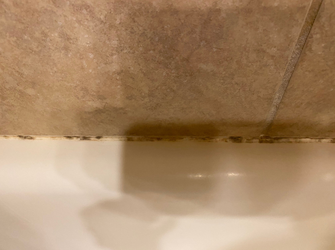 Grand Lodge Crested Butte Hotel & Suites主图