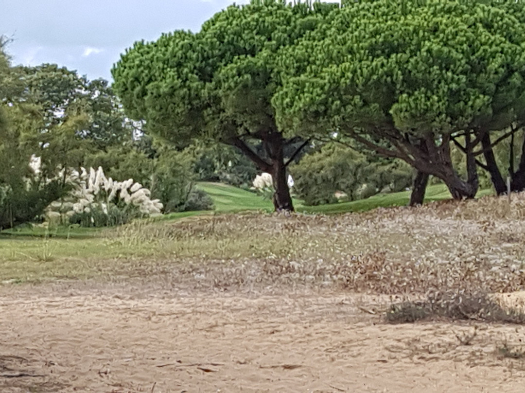Golf d'Oleron景点图片