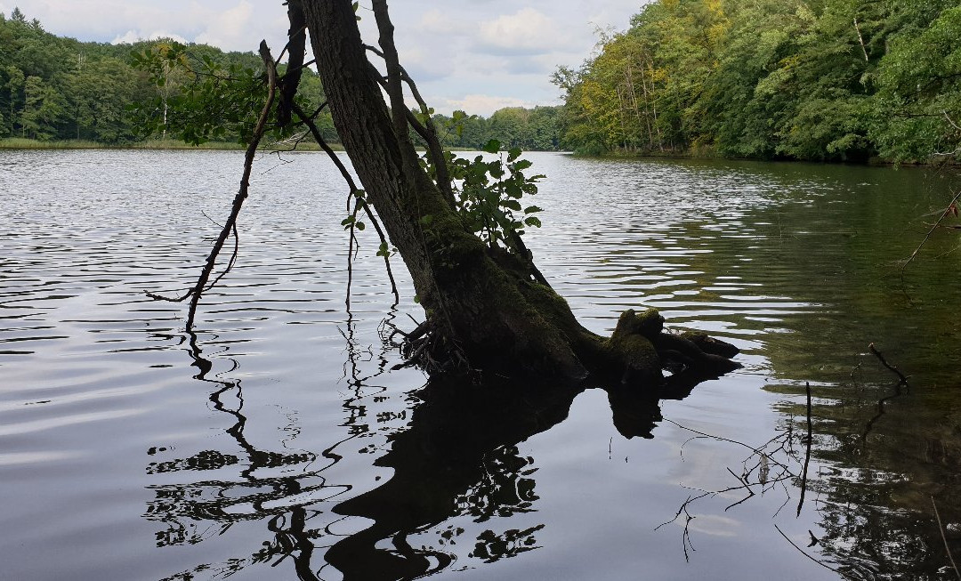 Raduń Lake景点图片