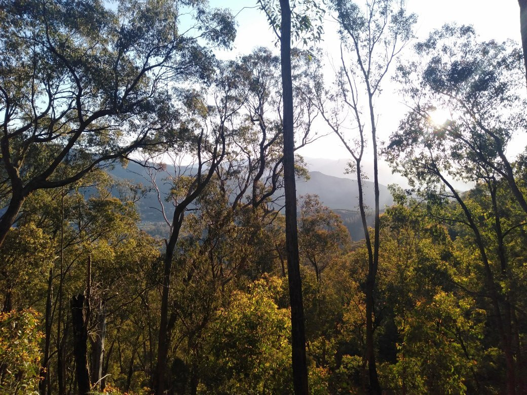 Apex Lookout-布赖特必去景点