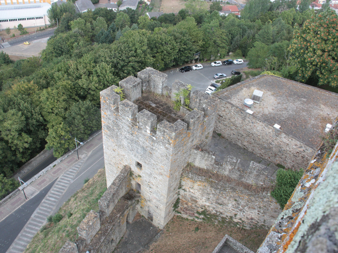 Torre del Homenaje de Monforte景点图片