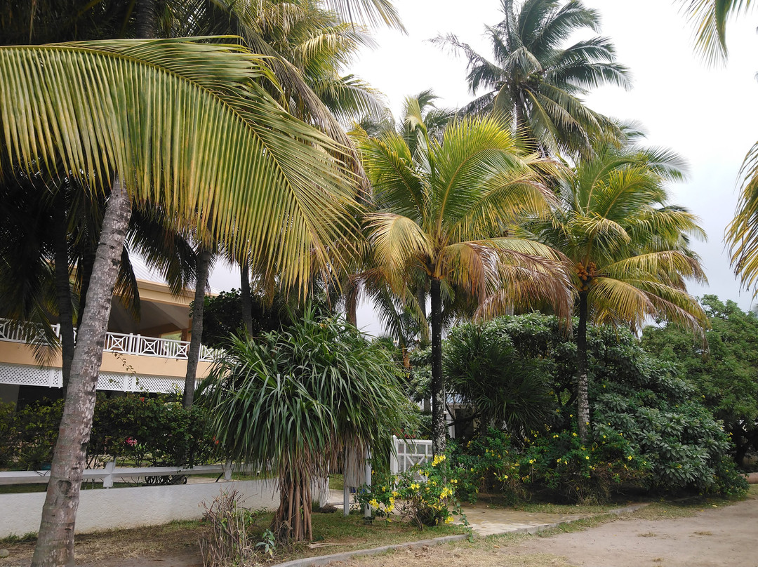 Cocotiers Rodrigues Boutik Hotel主图