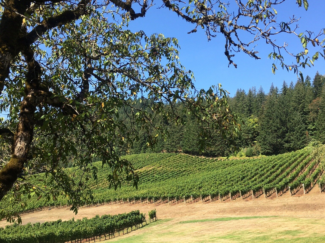 David Hill Winery-Forest Grove必去景点