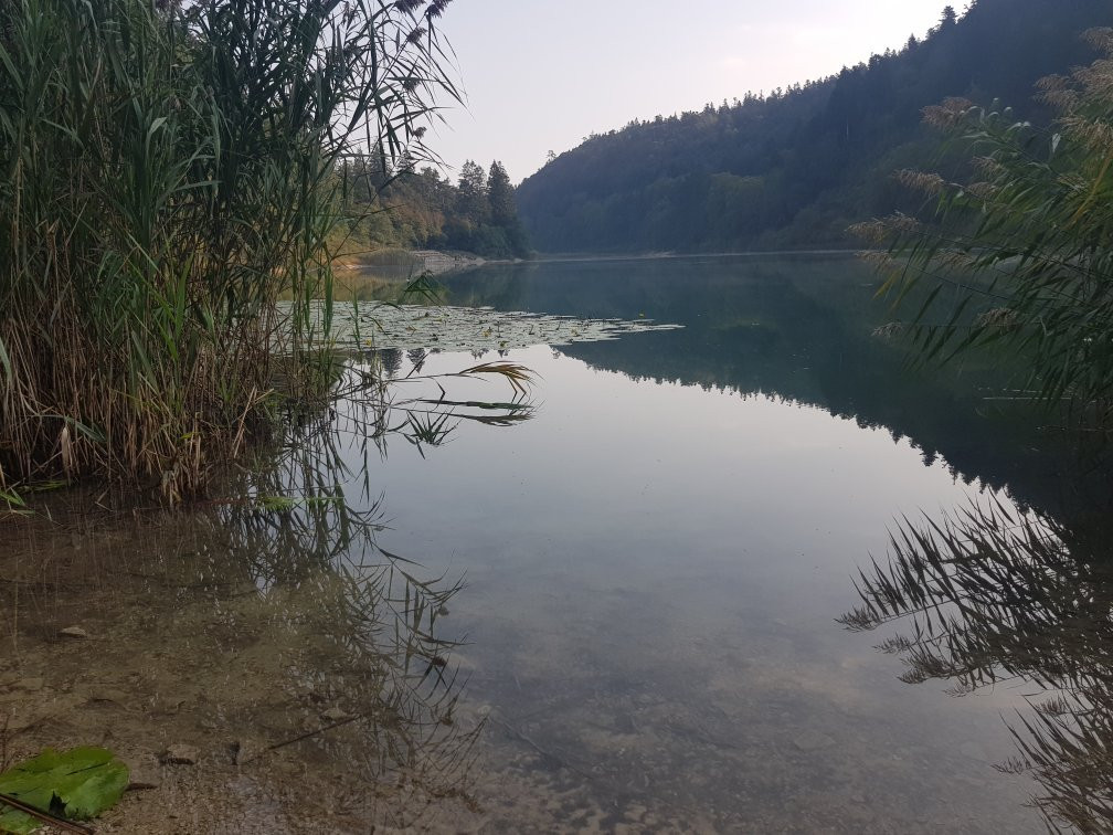 Lake Terlago景点图片