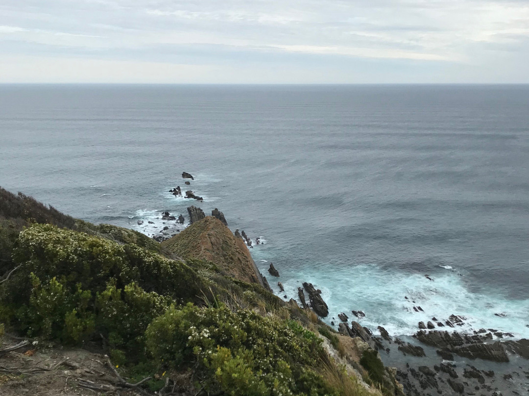 Cape Liptrap Lighthouse-Tarwin Lower必去景点