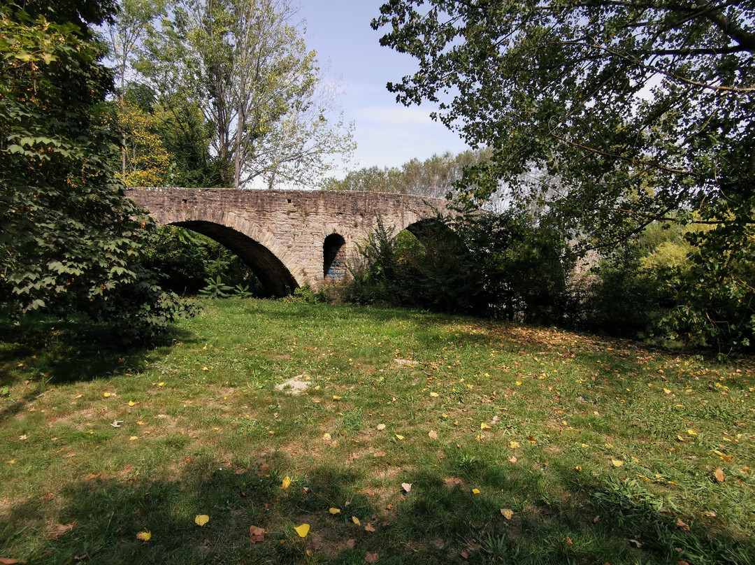 Puente de la Magdalena景点图片