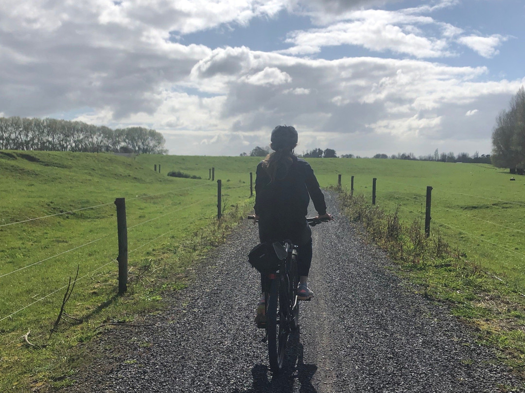 Adventure Bike Hire and Shuttle-Waihi必去景点