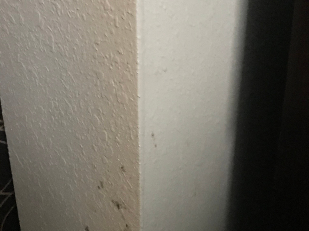 Holiday Inn Express & Suites Havelock Nw-new Bern By IHG主图