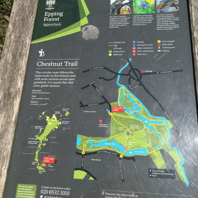 Epping Forest景点图片