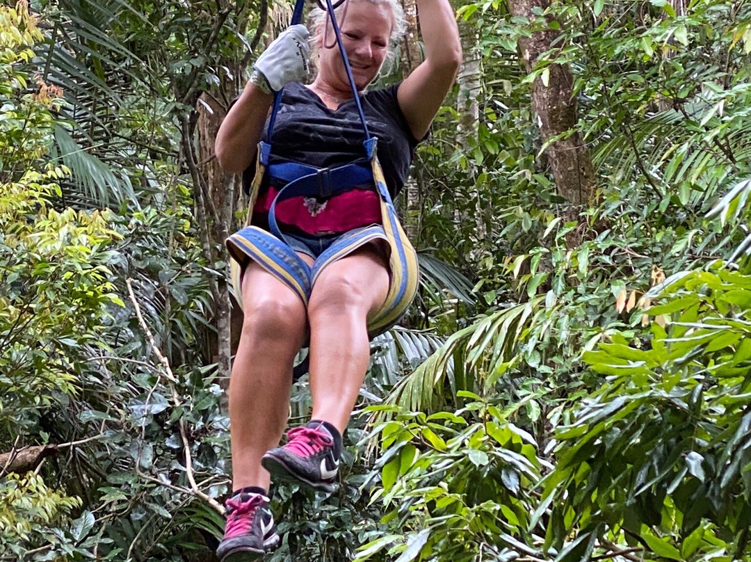 Forest Flying-Finch Hatton必去景点