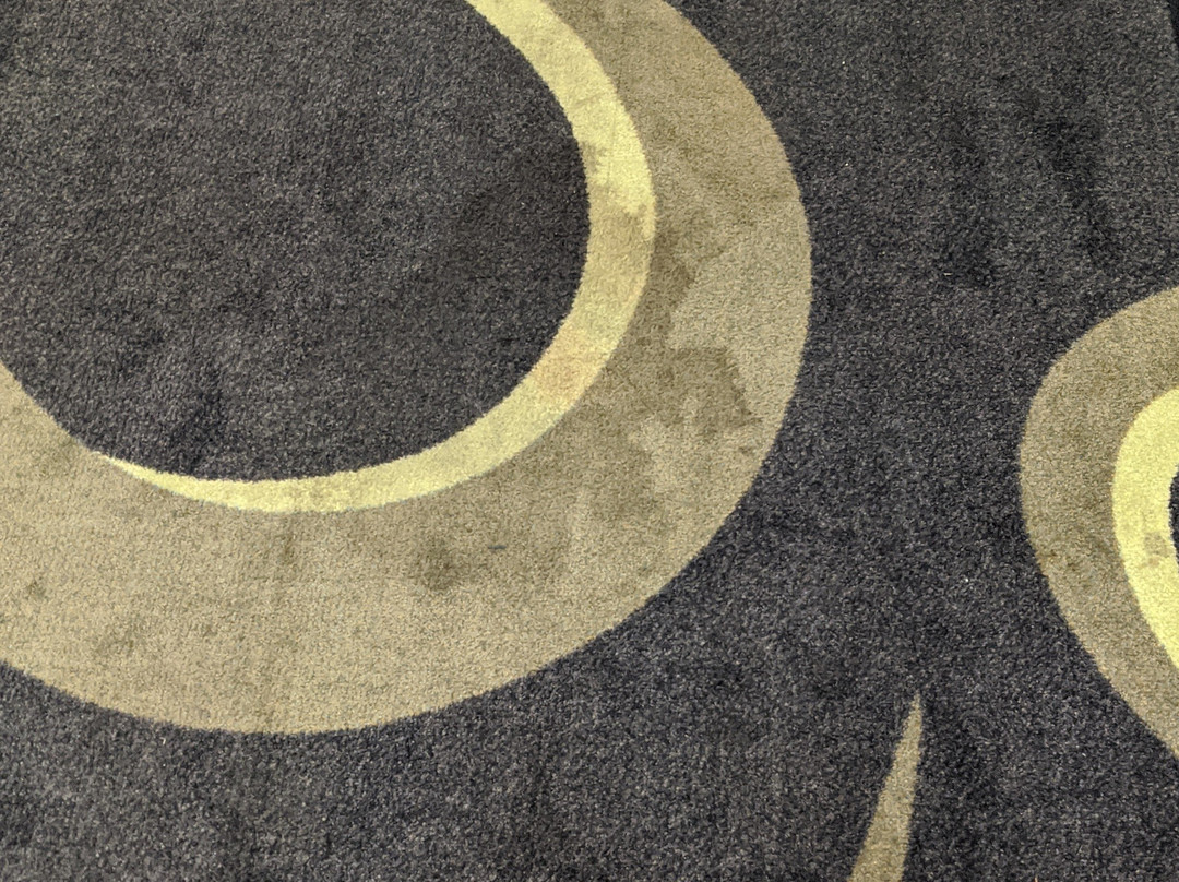 Wingate by Wyndham Brunswick主图