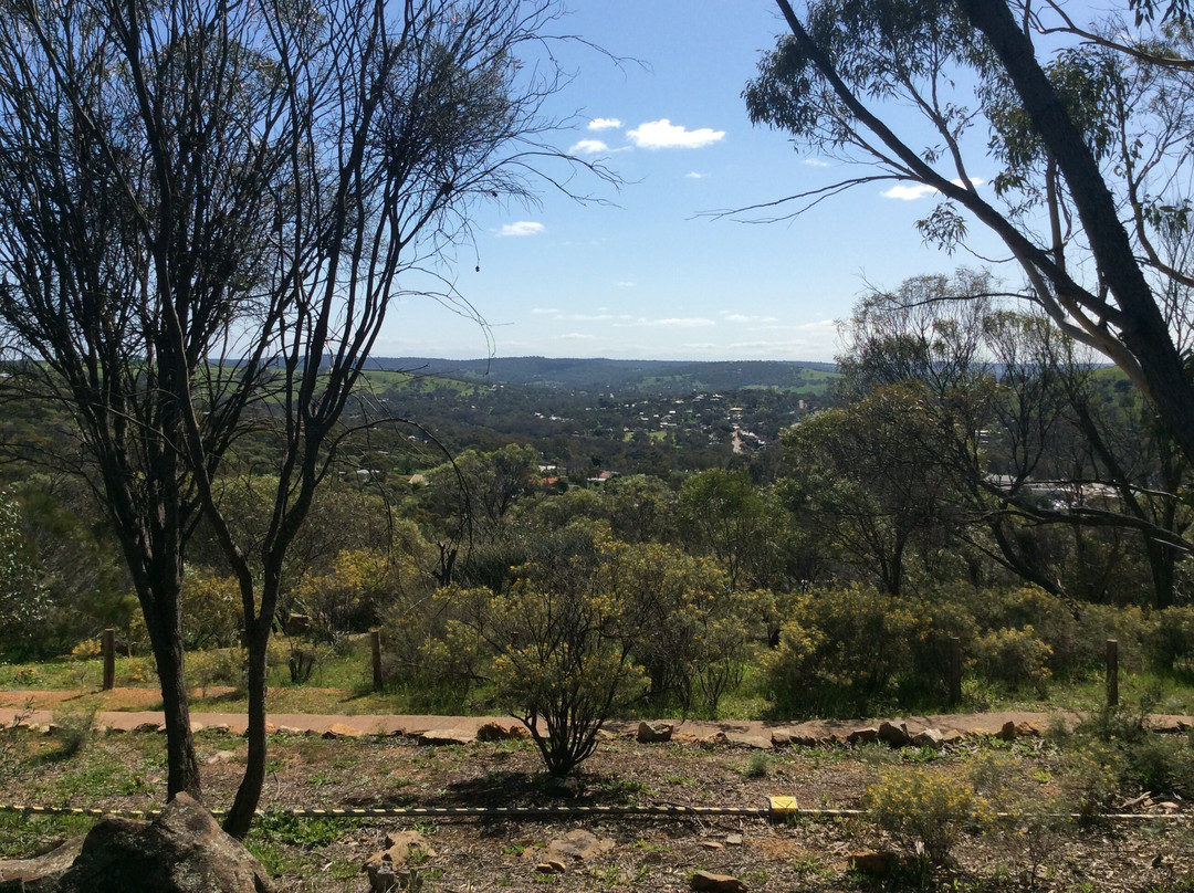 Pelham Reserve景点图片