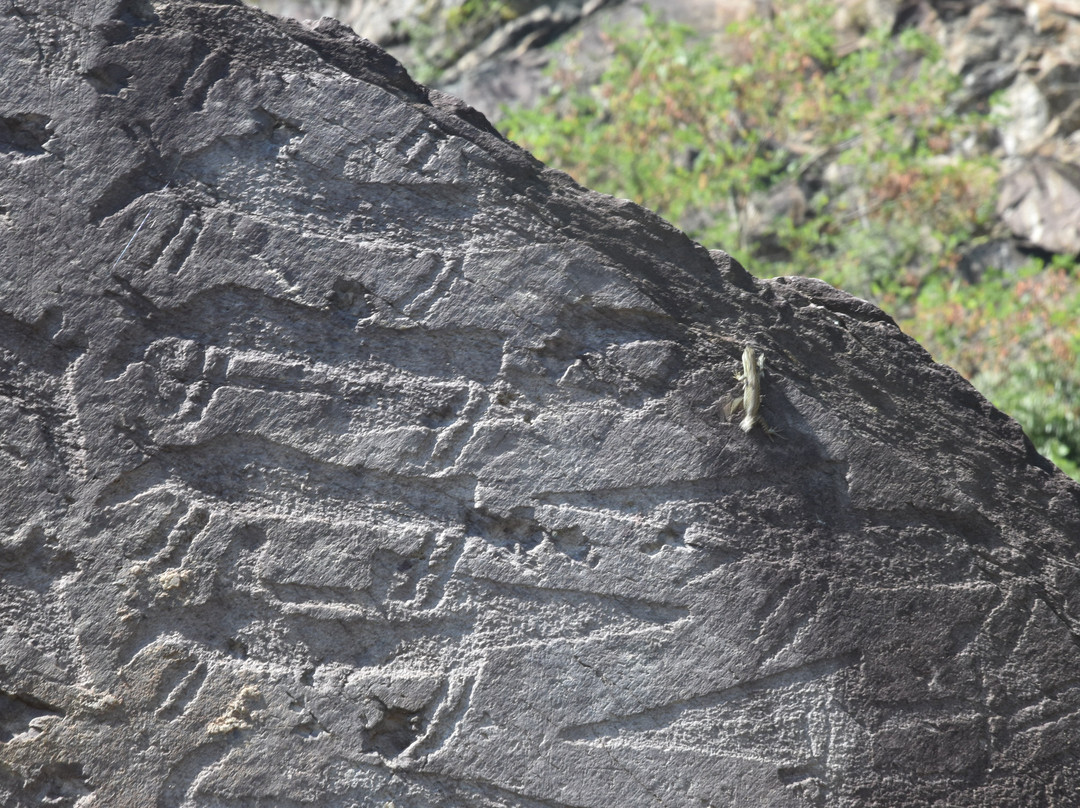 Parco Archeologico Nazionale dei Massi di Cemmo景点图片