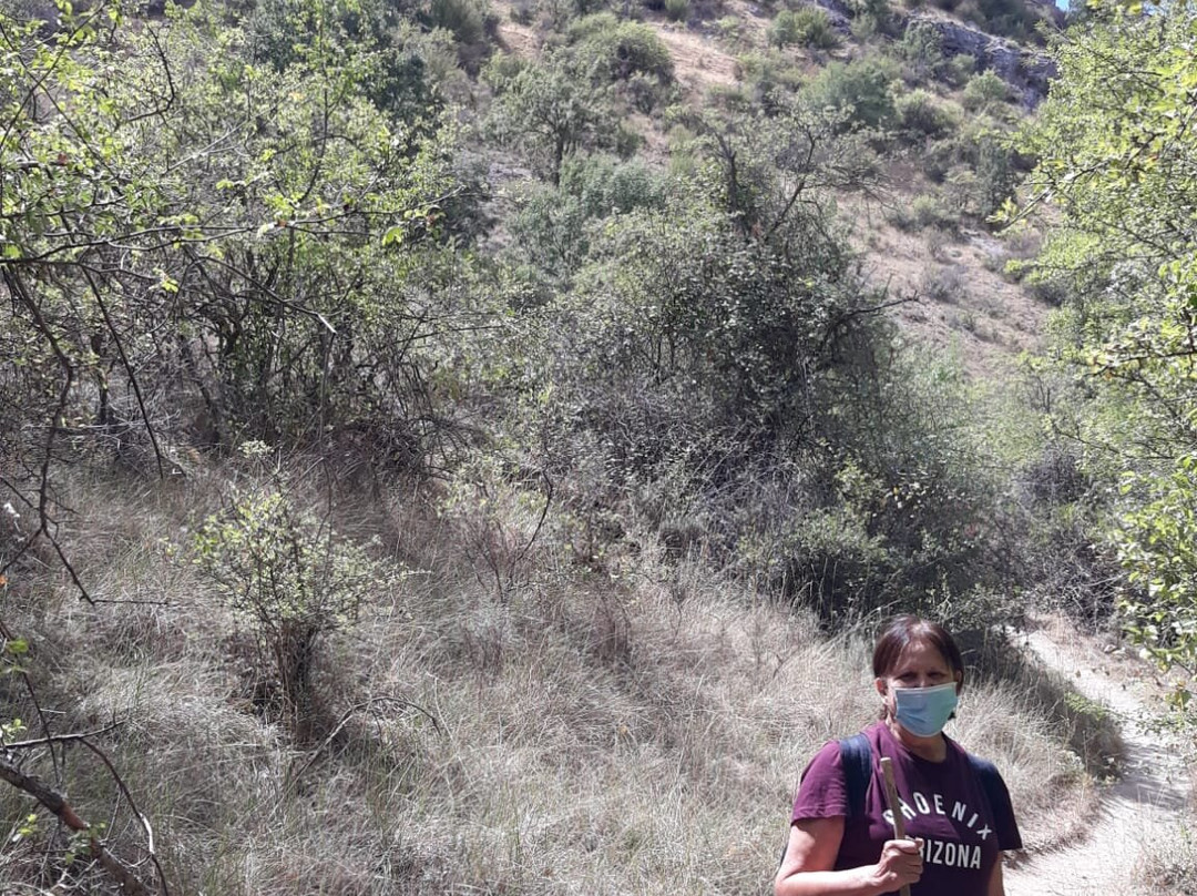 Parque Natural del Barranco del Rio Dulce景点图片