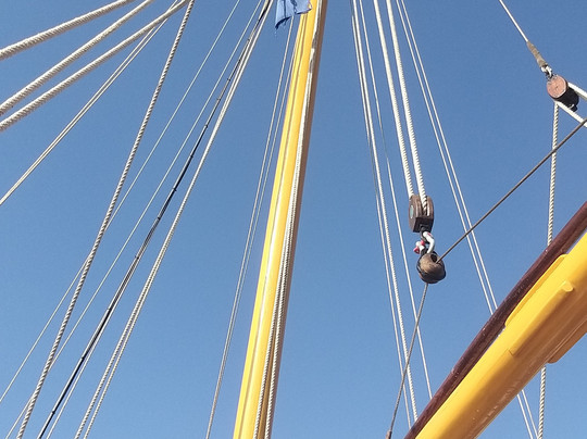 Amor ao Oficio-塞新布拉必去景点