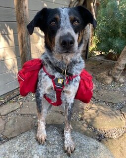Bishop Visitor Center-毕晓普必去景点
