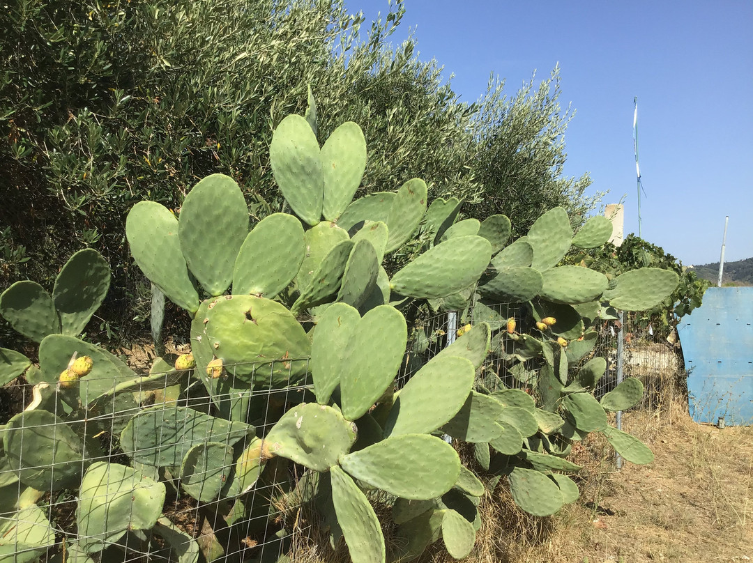 Arillas Trail-Arillas必去景点