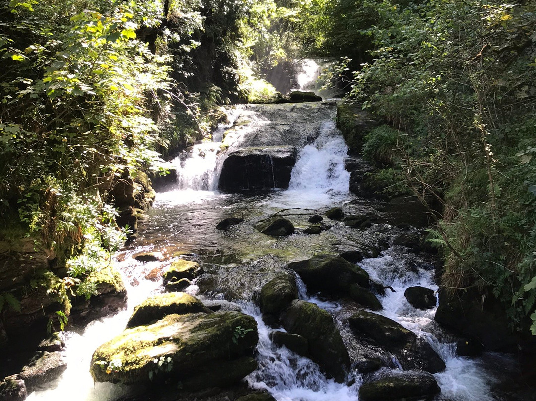 Watersmeet Trail景点图片