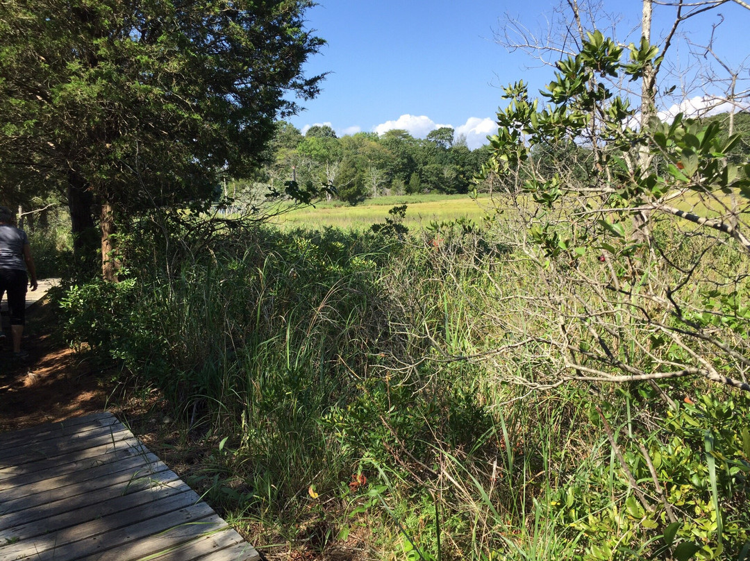 Touisset Marsh Wildlife Refuge景点图片