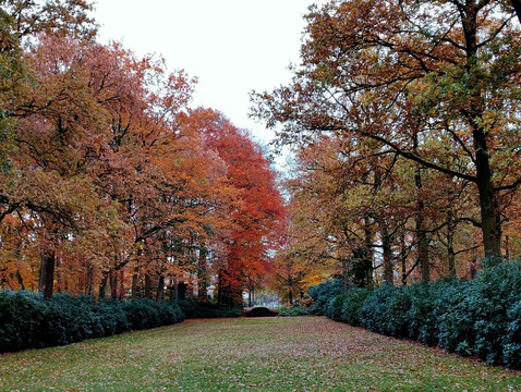 Buitenplaats Sparrendaal