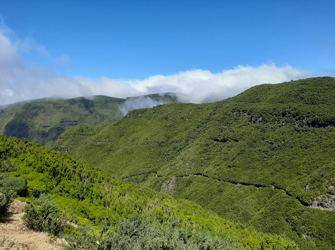 Calheta Taxi Tour景点图片