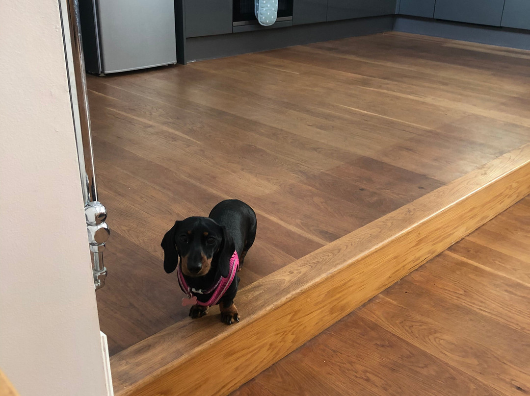 Warreleigh Bed & Breakfast主图