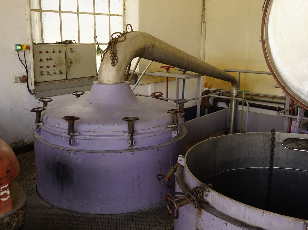 Les Agnels Distillerie de Lavande景点图片