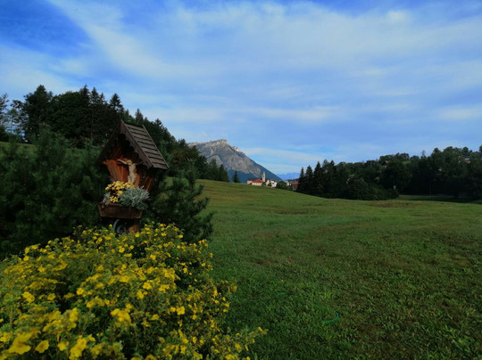 Tana della volpe主图