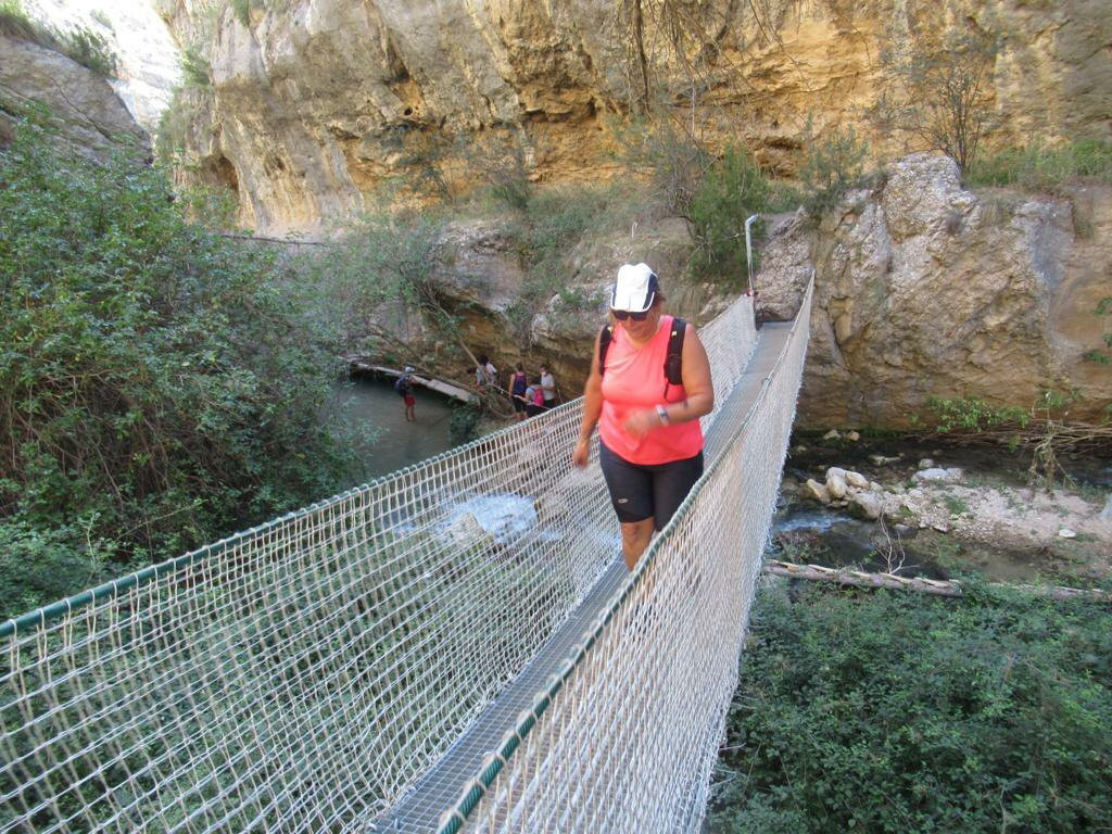 Puente Colgante Del Zarzalar