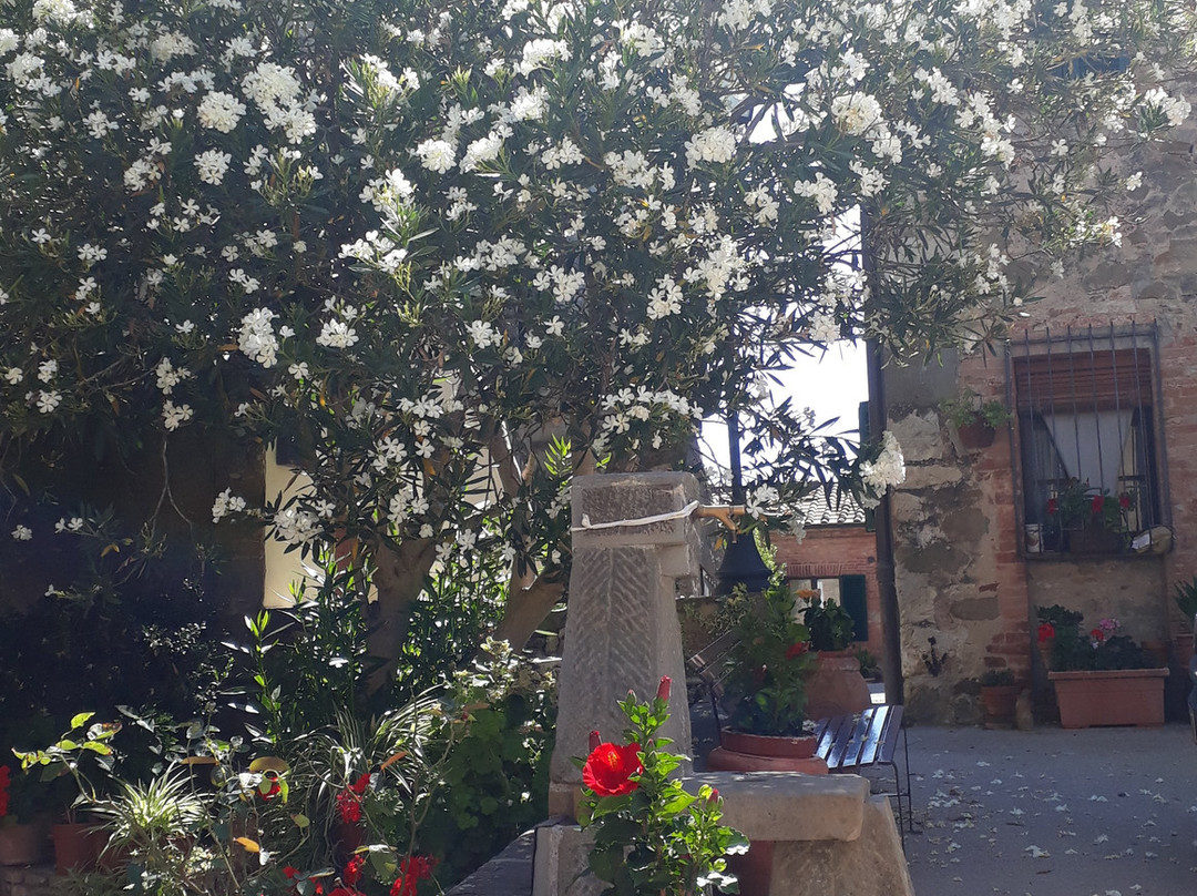 B&B Un Posto nel Mondo主图