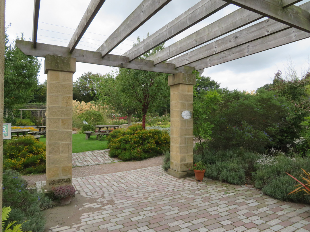 Aberdour Sensory Garden景点图片