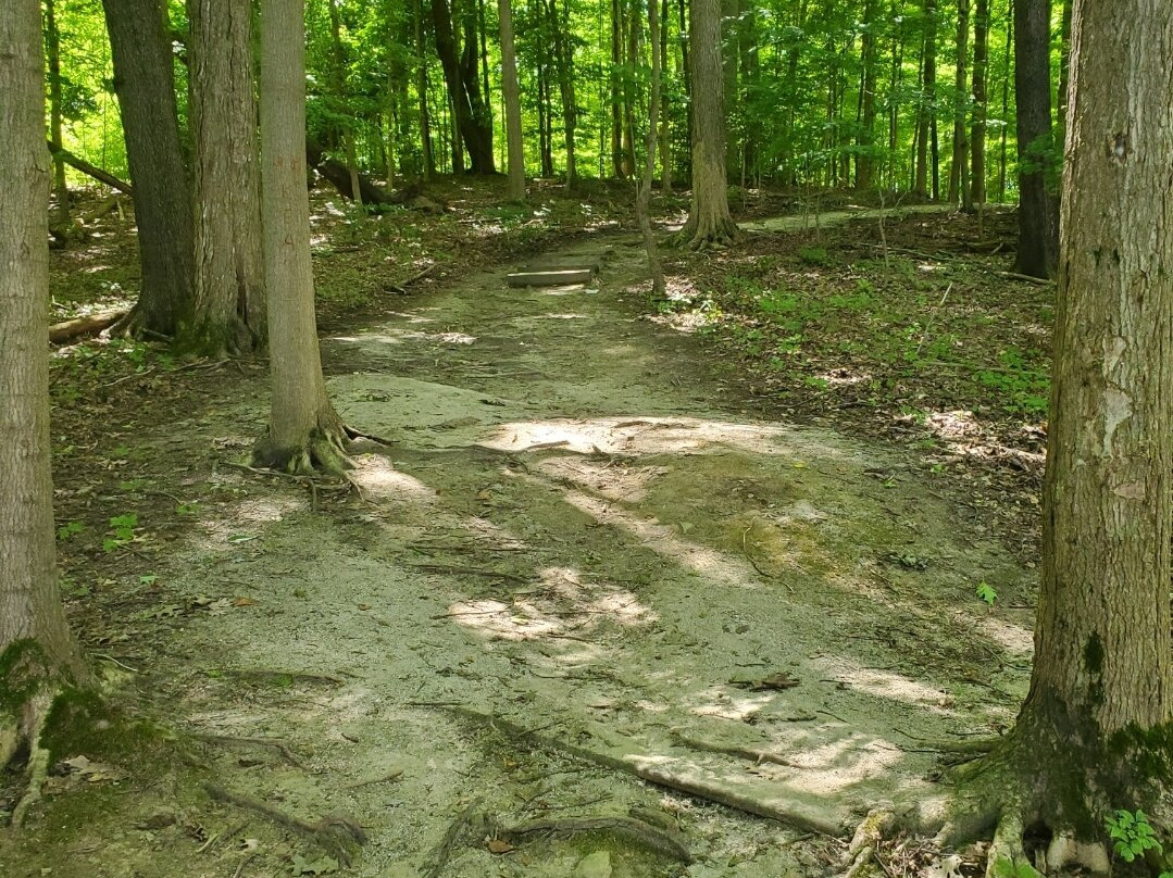 Hudson Springs Park-Hudson必去景点