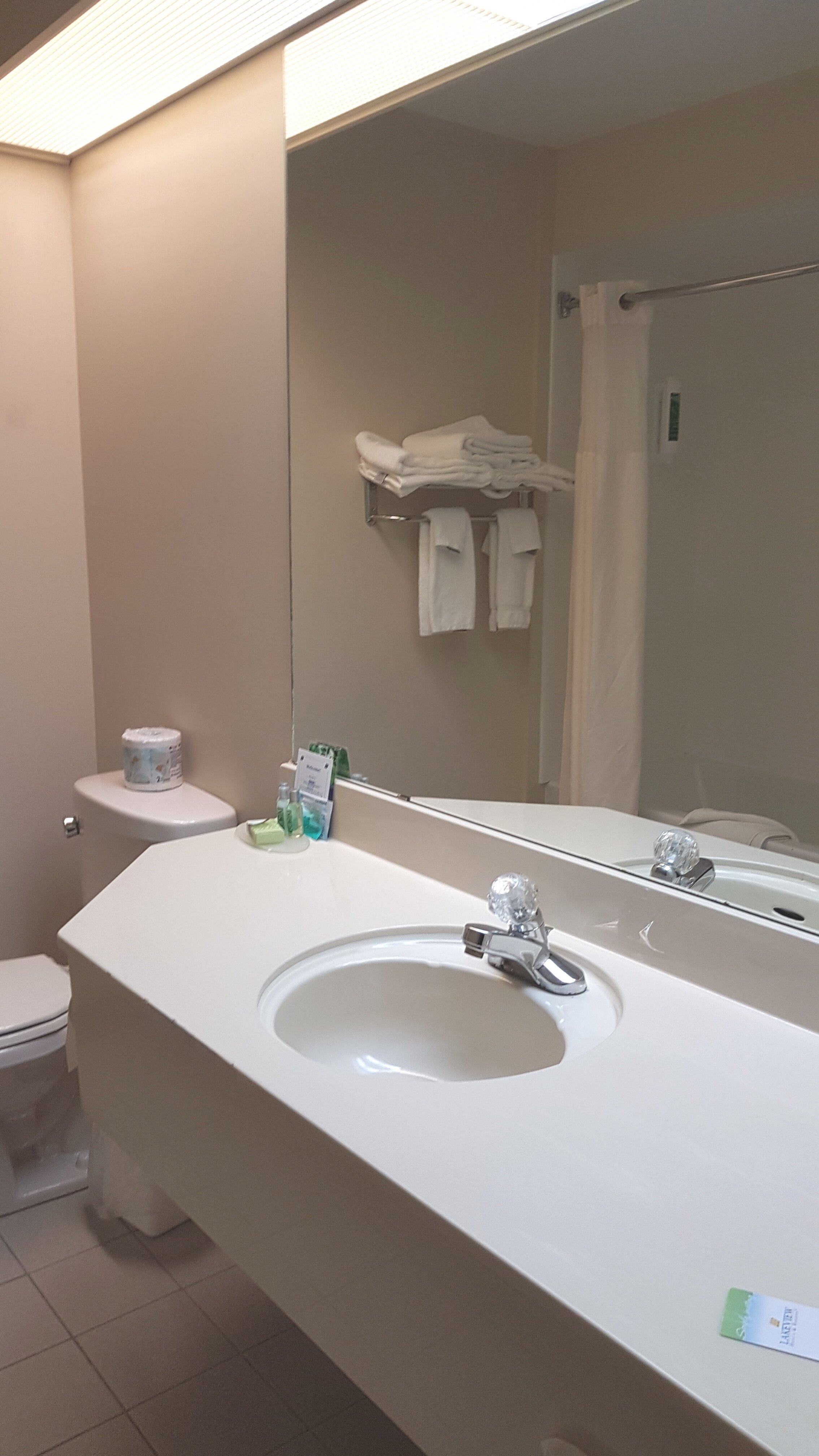 Lakeview Inns & Suites - Brandon-浴室