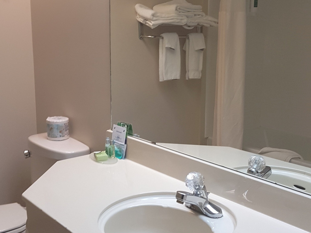 Lakeview Inns & Suites - Brandon主图