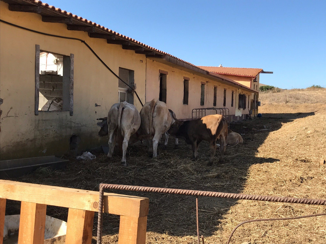 Scuderie De Morimenta主图