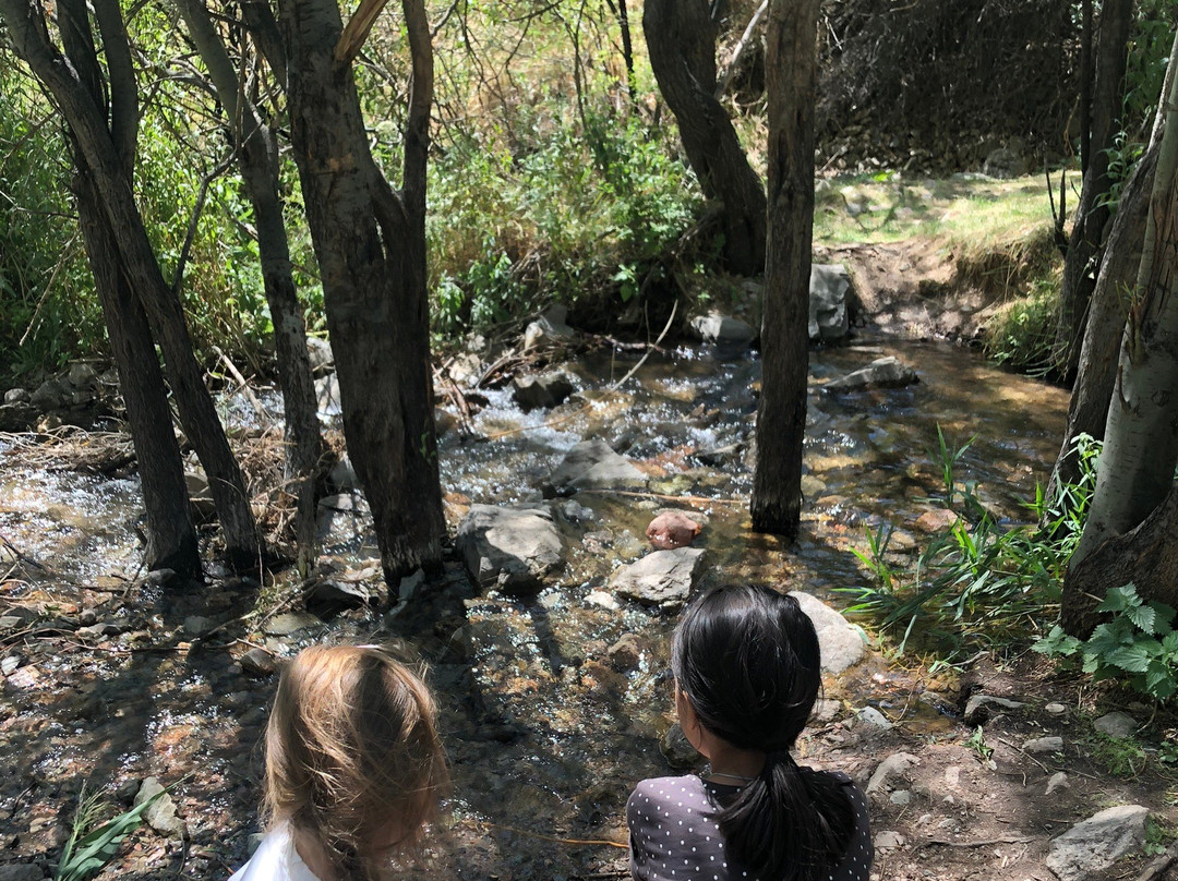 Turgenskiy Medvezhiy Waterfall-Almaty Region必去景点