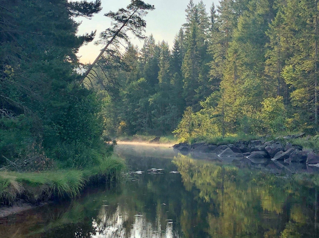 Vildmark i Värmland-Torsby必去景点