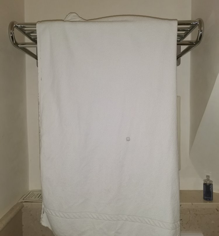 圣塔罗莎黎莱斯酒店主图