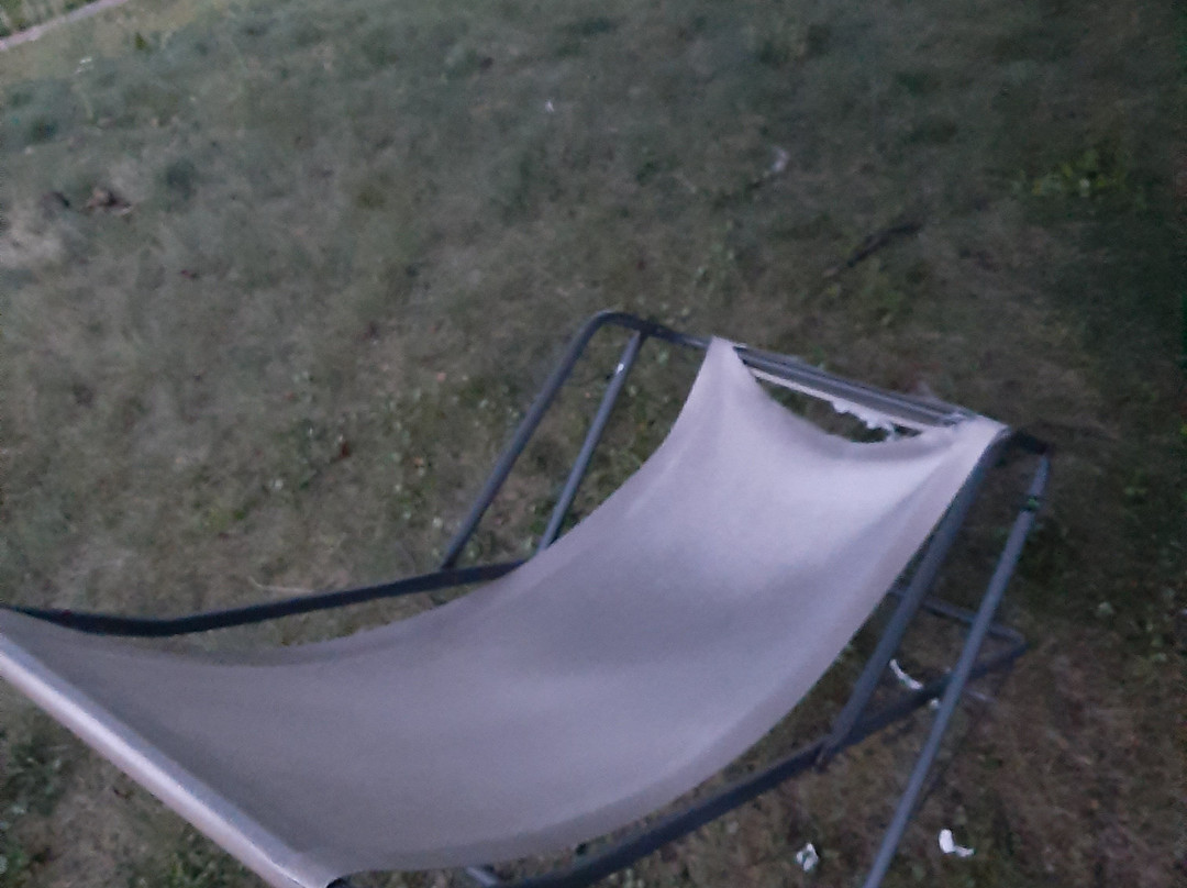 维塞赫夫绿色酒店主图