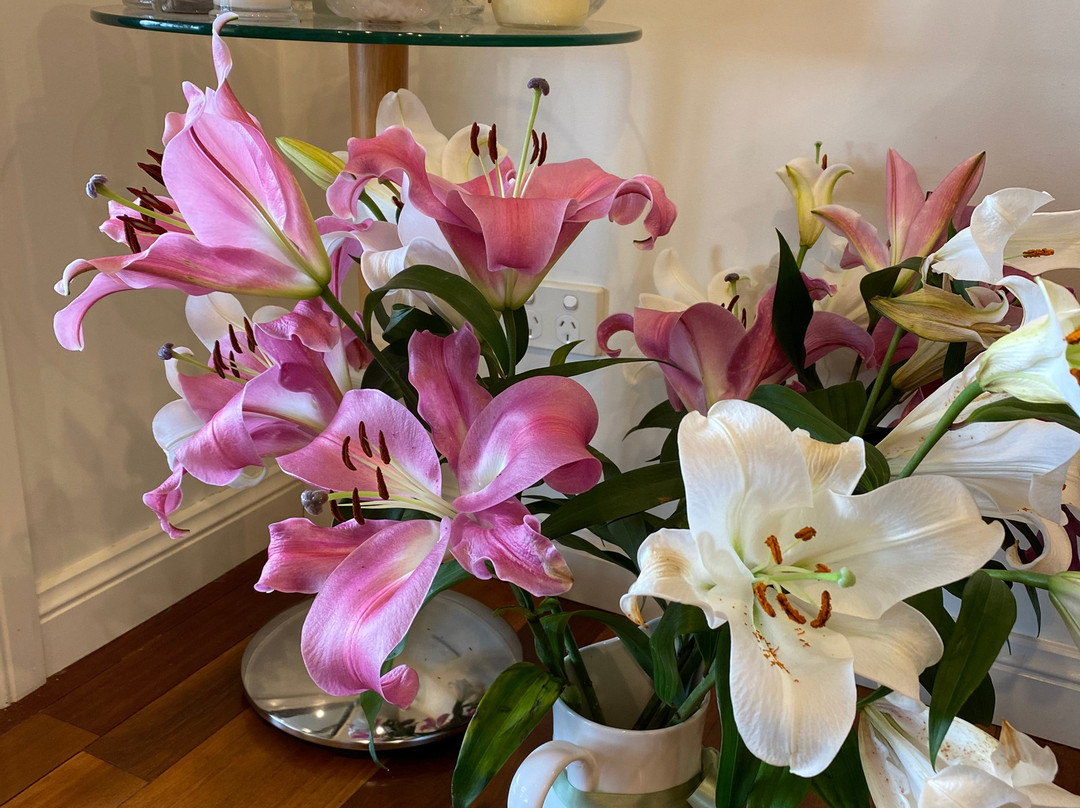 Wombadah Guest House主图