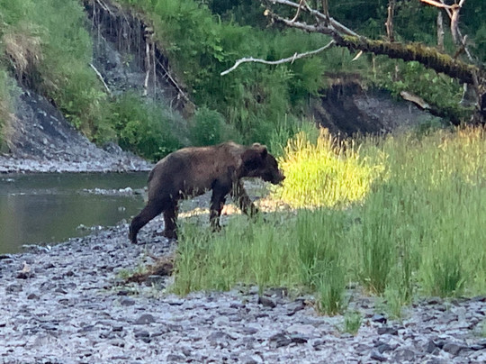 Reel Extreme Alaska-科迪亚克岛必去景点