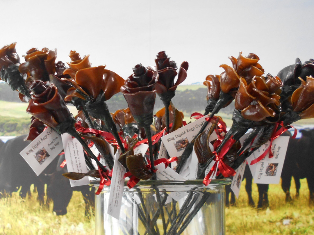 King Island Kelp Craft-King Island必去景点