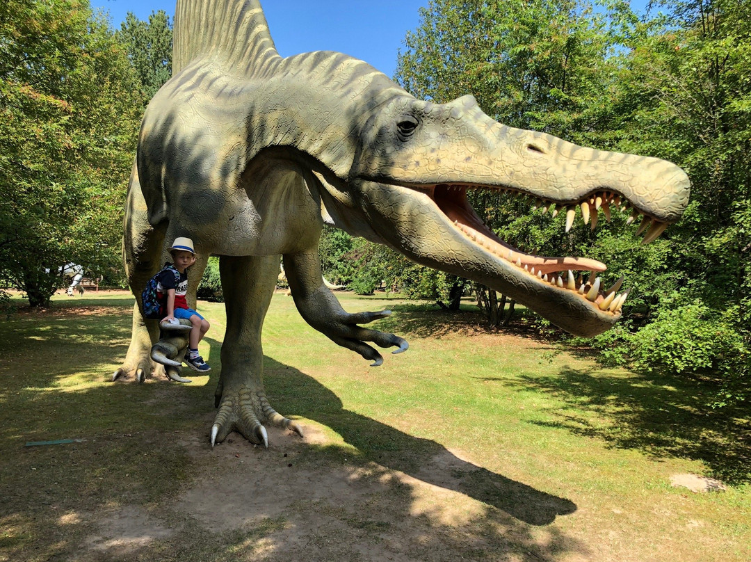 Jurajski Park Dinozaurów Muzeum Dziejów Ziemi景点图片