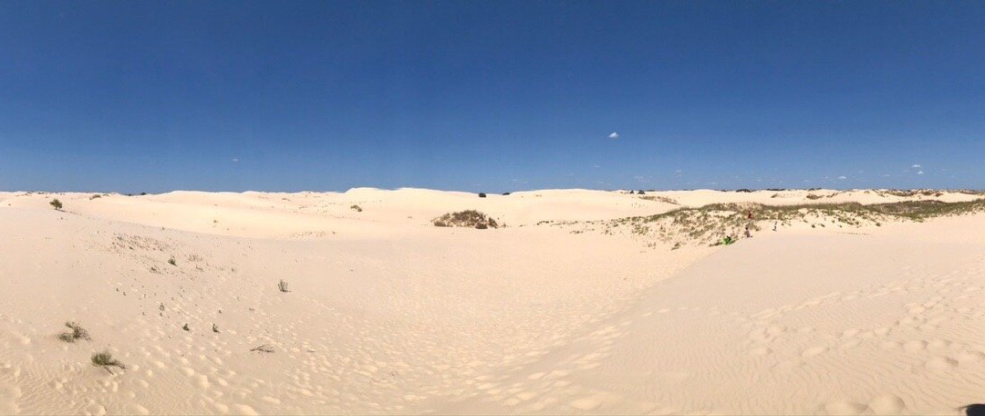 Monahans Sandhills State Park景点图片