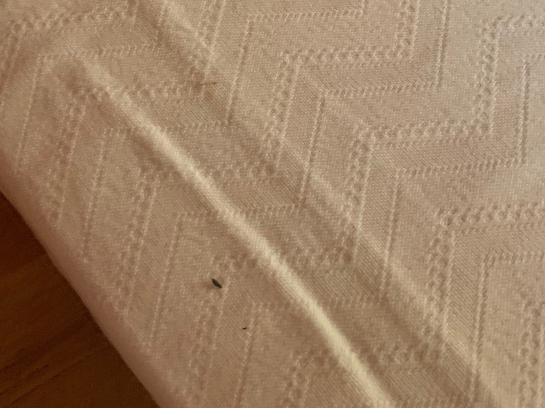 Grande Hotel Don Dinis主图