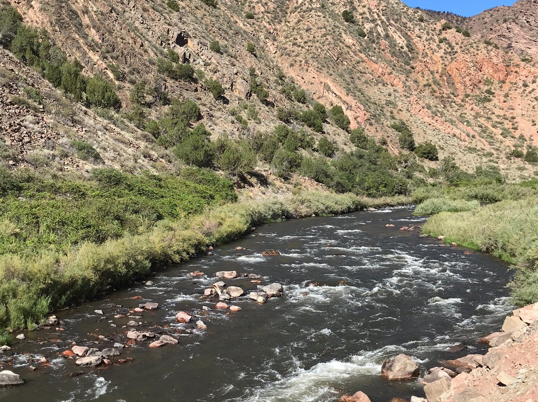 Royal Gorge Route Railroad景点图片