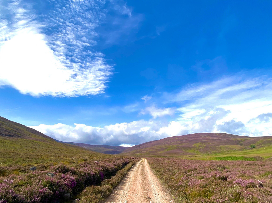 eguide Scotland-Aboyne必去景点
